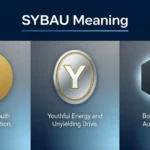 SYBAU Meaning