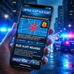 Blue Alert Meaning