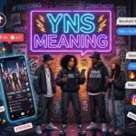 YNS Meaning