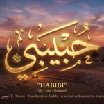 Habibi Meaning