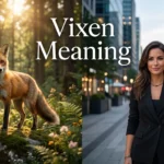 Vixen Meaning